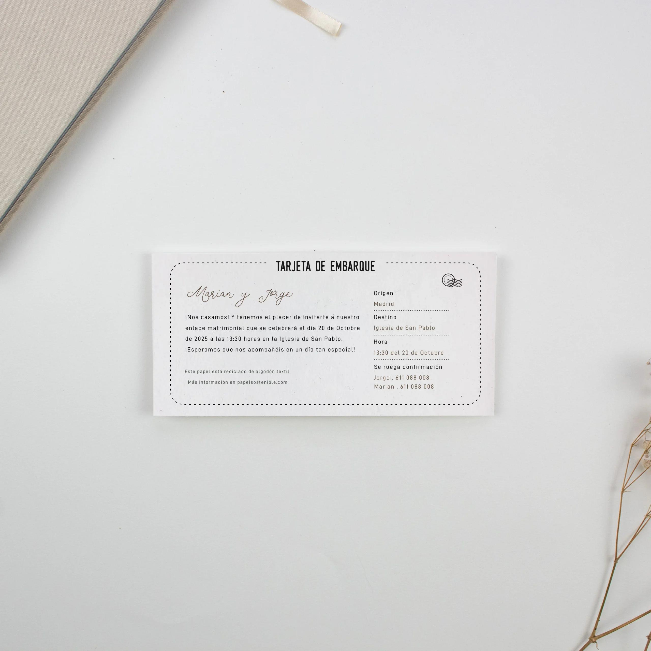 BILLETE_MUNDO COTTON - B