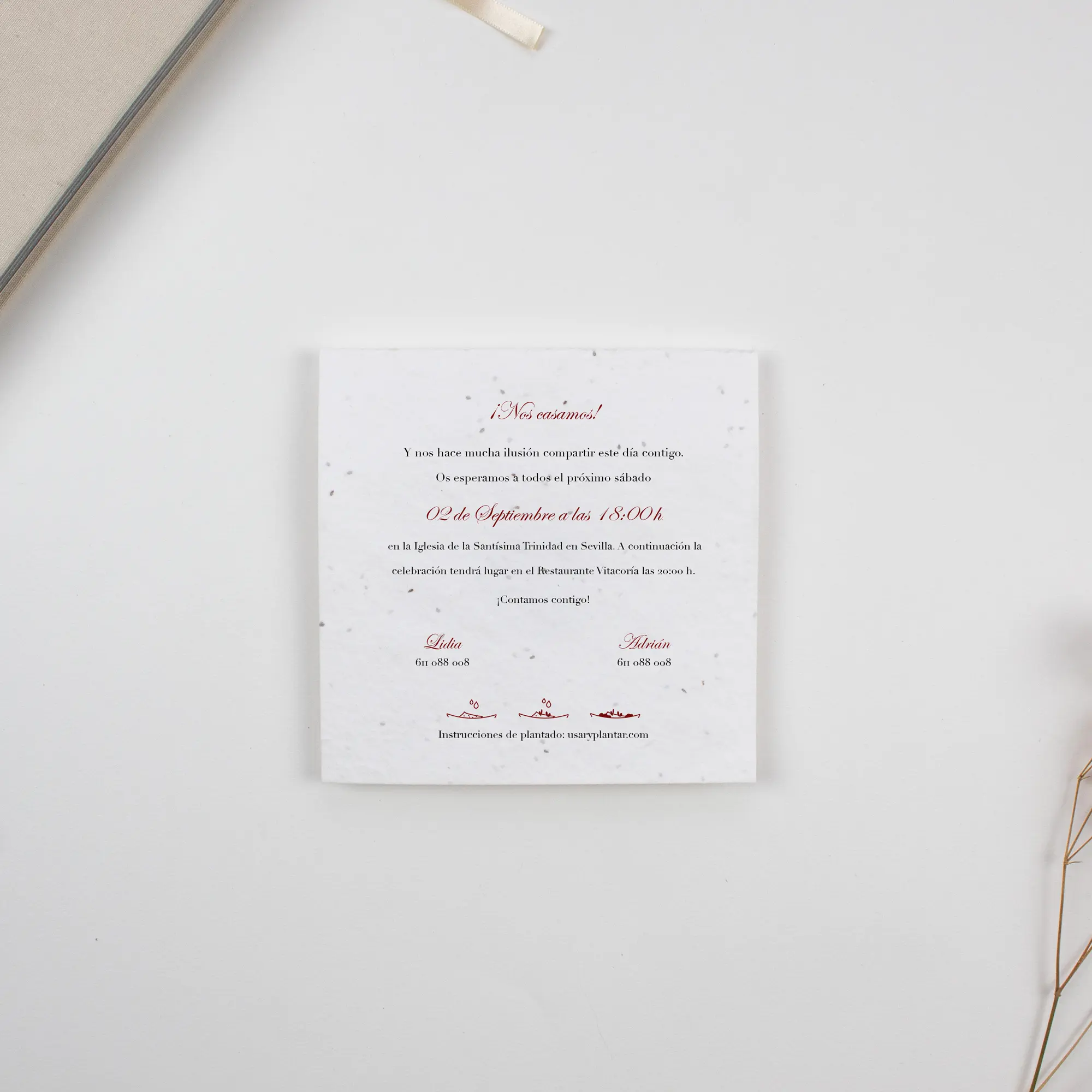 cara trasera invitacion sevilla